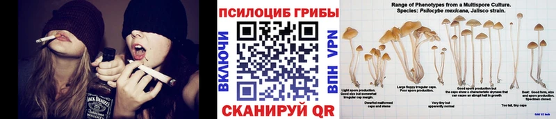 Псилоцибиновые грибы GOLDEN TEACHER  Лаишево 